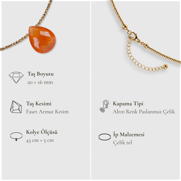 Tutkunun Kolyesi – Karnelyan & Gold Hematit